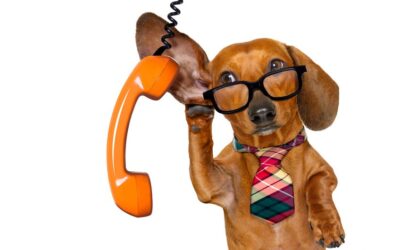 active listening